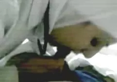 Alter Typ leckt Muschi porn tube handy der Blondine