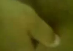 Den feuchten Spieß mit gesunder zeichentrickfilme xxx Wurst anbraten